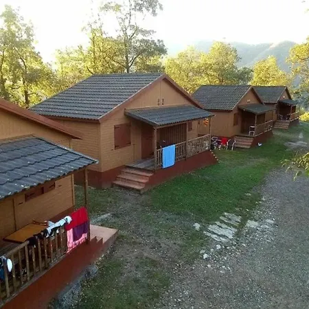 Camping Vidra Campsite