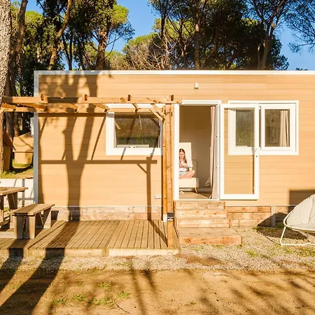 Campsite Camping Vidra Vidra