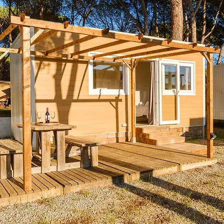 Campsite Camping Vidra Vidra