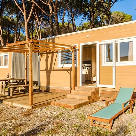 Camping Vidra * Vidra